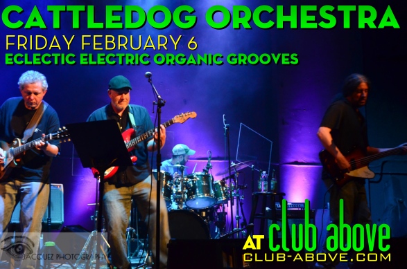 Cattledog Orchestra